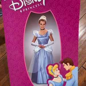 Women’s Cinderella Costume